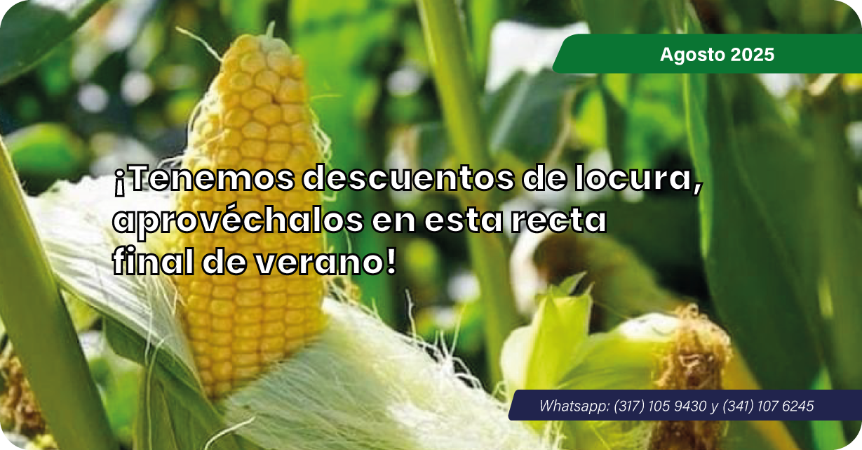 Promociones