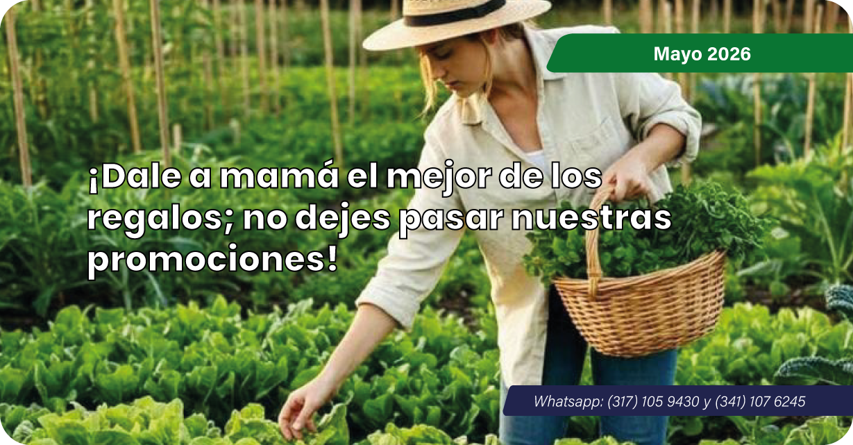 Promociones