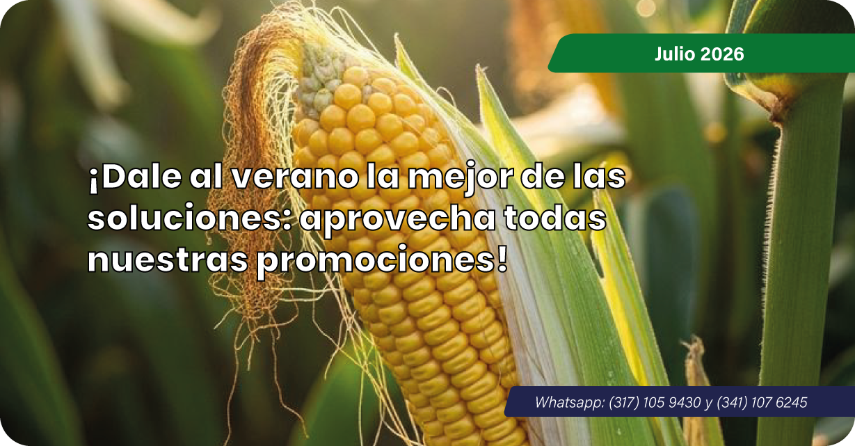 Promociones
