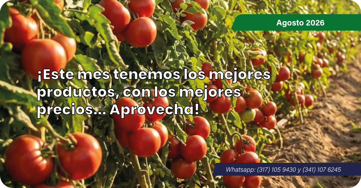 Promociones Promociones