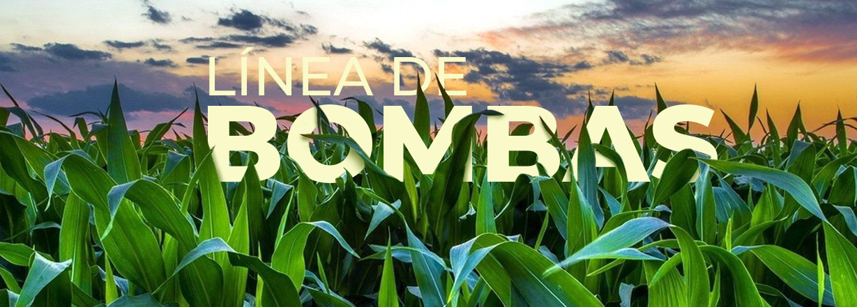 Bombas Bombas