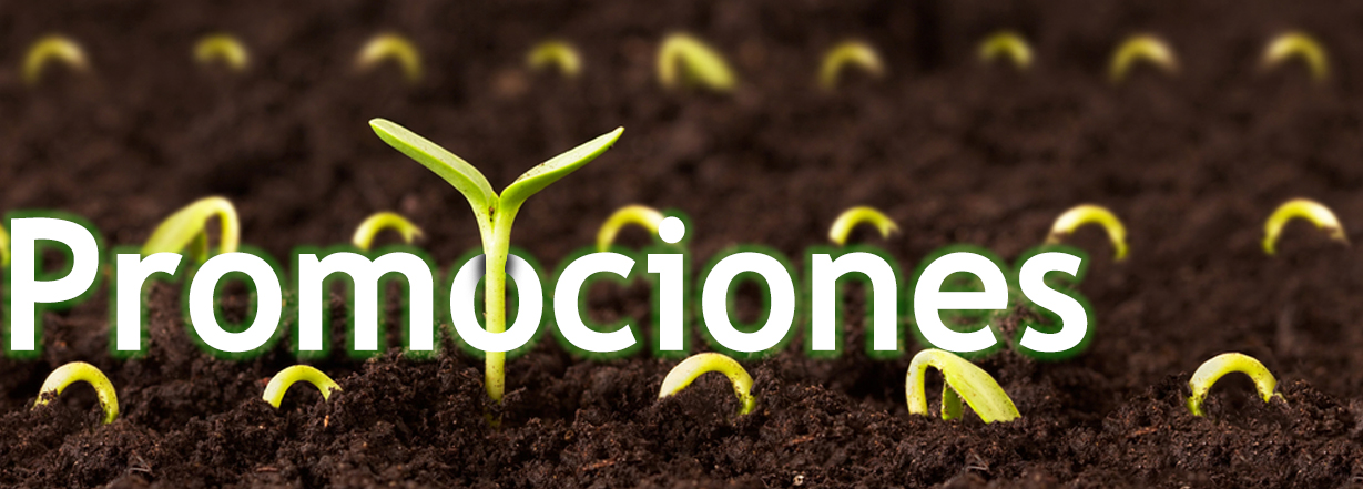 Promociones Promociones